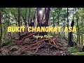 Bukit Changkat Asa @ Tanjung Malim | Beginner Scenic Hike | Pokok Gelam Merah |