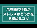 2~10歳 子どもの爪を噛む癖の対応方法7選！『アイデアが多ければどれかヒットする！』 子育て勉強会teruの育児・知育・幼児教育・子どもの教育講義