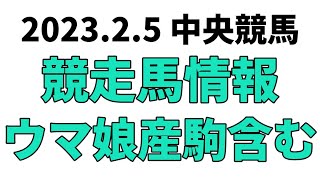 【東京新聞杯】中央競馬情報 2023年2月5日【ウマ娘産駒】