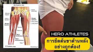 ยืดกล้ามเนื้อต้นขาด้านหลัง Hamstring เข้าใจง่ายมาก! โดยครูเป๋า!   Hero Athletes