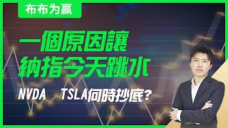 【布布为赢】一个原因让纳指今天跳水，NVDA  TSLA何时抄底？