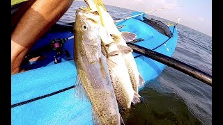 TOPWATER TROUT SMASHING PLUGS | kayak fishing texas