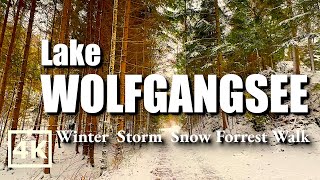 Lake Wolfgangsee / Austria (4k) 🇦🇹 Amazing snowy scenic winter with relaxing nature sounds