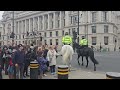 Get out of the arch.touching the police horse. he stops her too busy on the phone. #kingsguard