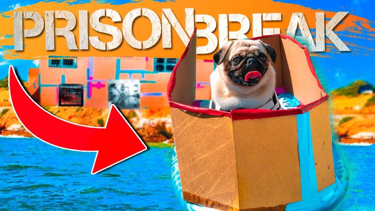 Dog Box Fort Prison Escape - EXTEME Boat Chase - YouTube