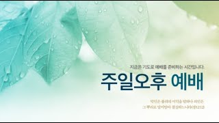 20230312 신림감리교회 주일오후예배 실시간 예배영상