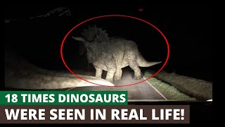 18 Times Dinosaurs Were Seen In Real Life!