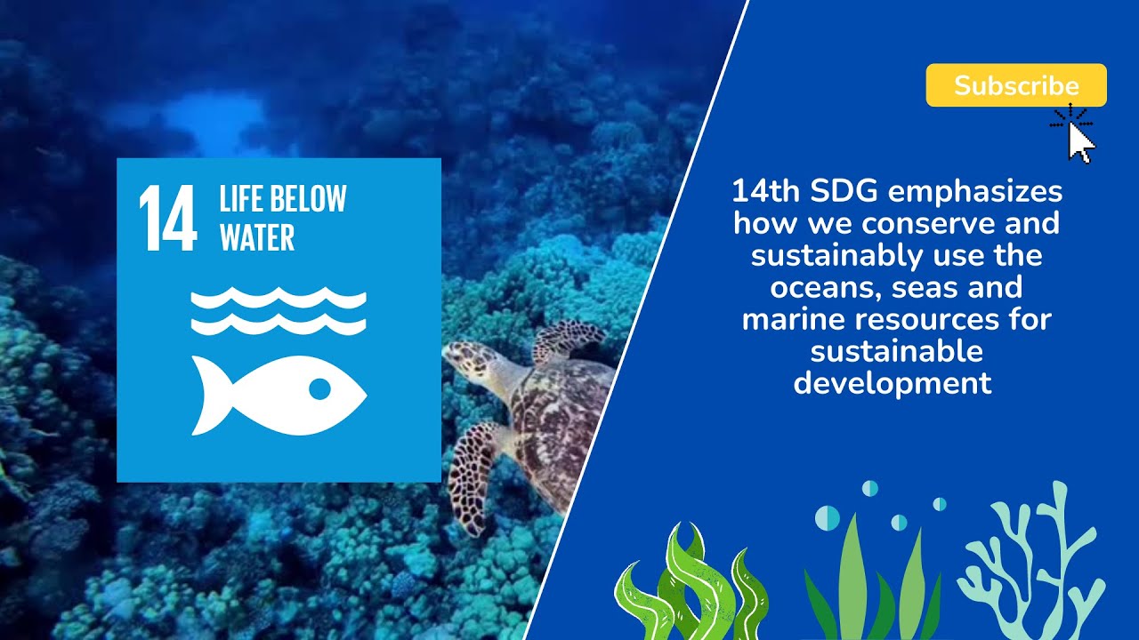 Un Sustainable Development Goals Life Below Water 14 55 Off