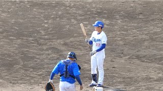 尾田 剛樹【上茶谷投手からレフト前ヒット】2024.2.17 vs横浜 練習試合 Agreスタジアム北谷