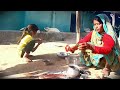 some glimpses of peaceful village life vlog 48