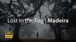 Lost in the Fog at Mysterious Fanal Forest | Madeira 4K