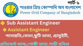 🇧🇩  পাওয়ার গ্রিড কোম্পানি অব বাংলাদেশ লিঃ পদের নিয়োগ ও পদন্নোতি   🇧🇩