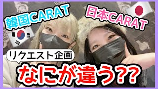 [セブチ]韓国CARATと日本CARATを比較!!💎[SEVENTEEN/세븐틴/カラット/リクエスト企画]