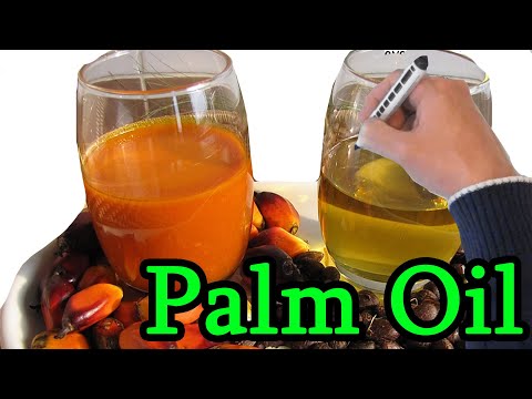 What is bad about palm oil?