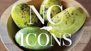 NC Icons: Pawpaws