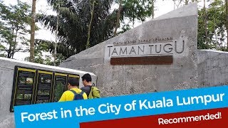 What's it like hiking Taman Tugu - Forest in the City of Kuala Lumpur