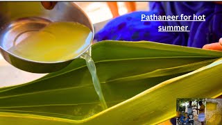 Sweet Palm wine/summer day super drink/pathani soru in India/pathaneer rice seivathu eppadi in tamil