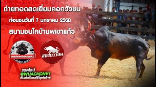 #สหายมาเยือน ก่อนชนสนามชนโคบ้านเขาแก้ว วันที่ 9 ม.ค. 68 #วัวชนวันนี้ #ดูวัวชน