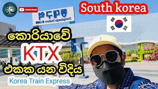 Busan KTX Tour | How to use KTX korea| Train to Busan | Busan South Korea| KTX experience|Southkorea