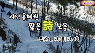 시감상 - 짧은시모음 6 / 시인용해원