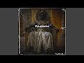 THANK YOU PART II INTERLUDE (Radio edit)