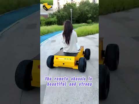 factory low price custom DIY remote control robot transport vehicle buy from China