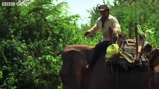 Elephant ambulance   Operation Wild  Episode 1 Preview   BBC One clip0