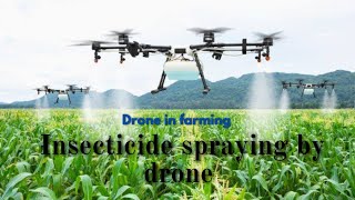 Drone spraying in paddy field#modernagricuture #modernfarming #dronespray #drone #agriculturelife