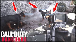 When My Dogs Play Better Than Teammates... Call of Duty: Vanguard