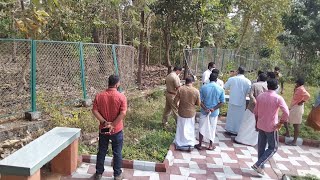 Pests in Pazhassi Museum and Park; There are no defenses; Accusation Mavilamthodu Pazha