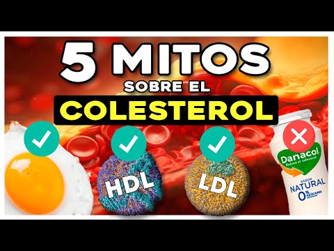 Desmintiendo El Mito: El Queso Y El Colesterol, ¿enemigos O Aliados ...