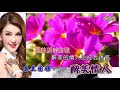 乌兰图雅 醉美情人~hd~ktv