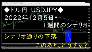 【FXドル円】2022年12月5日からの1週間のシナリオ～シナリオ通りの下落、このあと、どうする？～