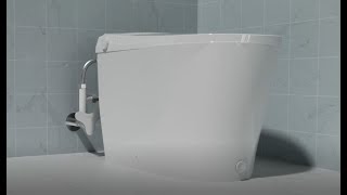 Lux Pro Intelligent Toilet Installation