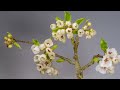 വിത്തുകളിലെ ദൃഷ്ടാന്തങ്ങൾ the miracle of seeds