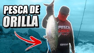 PESCA CON CURRICAN EN LA PLAYA | UN ATAQUE TRAS OTRO!!