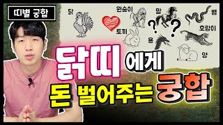 🐔 닭띠에게 복을 가져다주는 띠별 궁합 6가지 🐔 닭띠 성향