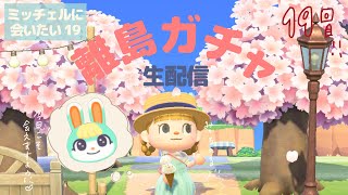 【あつ森】離島ガチャLIVE！ミッチェルに出会いたい！Part19【生配信】【雑談】【新住民】