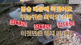 미치겠어요  또 사들고 왔네요1