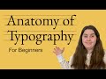 The Anatomy of Typography For Beginners | Type Terms for Designers to Know