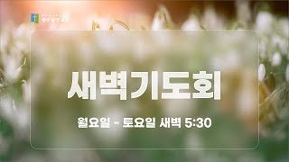 2025. 1. 31. 광주동명교회 새벽기도