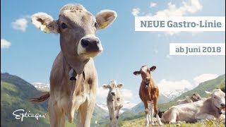 Neue Eptinger Gastro-Linie 2018