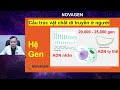 bệnh di truyền là gì nguyên nhân và một số bệnh di truyền thường gặp dr hoàng novagen