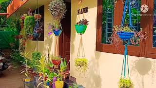 ഞങ്ങളുടെ വീട്ടിലെ garden കണ്ടാലോ???😊my simple garden/garden tour malayalam😍