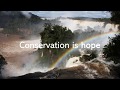 Conservation Is...