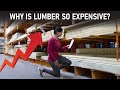 Why is Lumber so expensive? | Supply chain issues explained