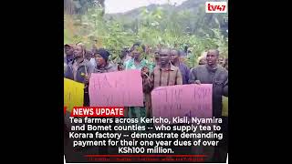 Tea farmers who supply tea across Kericho, Kisii, Nyamira and Bomet  demonstrate demanding payment