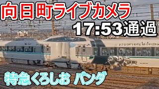 【向日町ライブカメラ】特急くろしお23号白浜行き287系(パンダ＋付属)