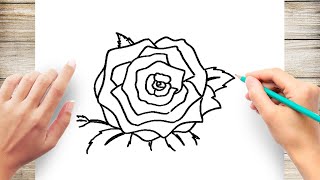 How to Draw Full Bloom Rose Step by Step