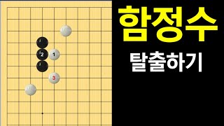 [함정수]  화점편 - 탈출하는 방법은? (바둑강좌)